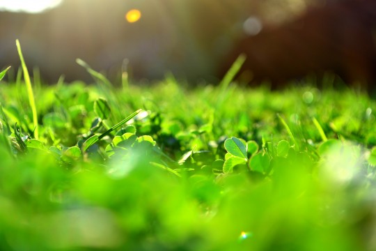 New Start How to get a truly fresh start in 2013