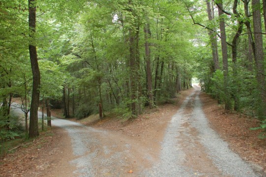 two paths Self-Care or Self-Medication: Which Path are You On?
