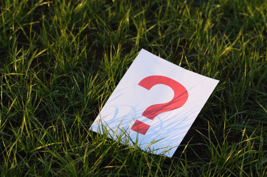 One of the Best Leadership Questions You'll Ever Hear