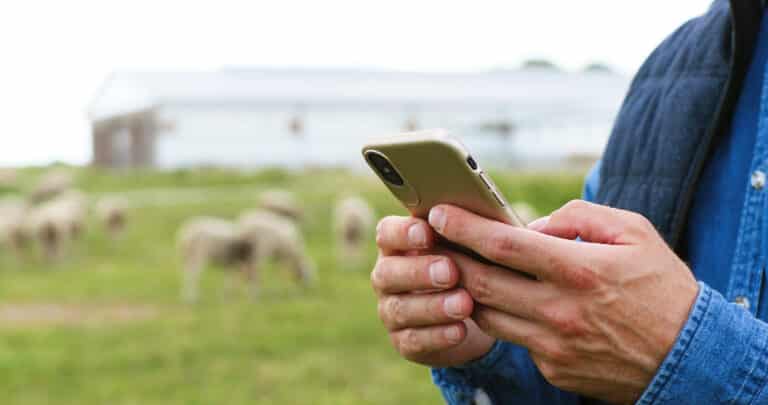 photo of person on cell phone
